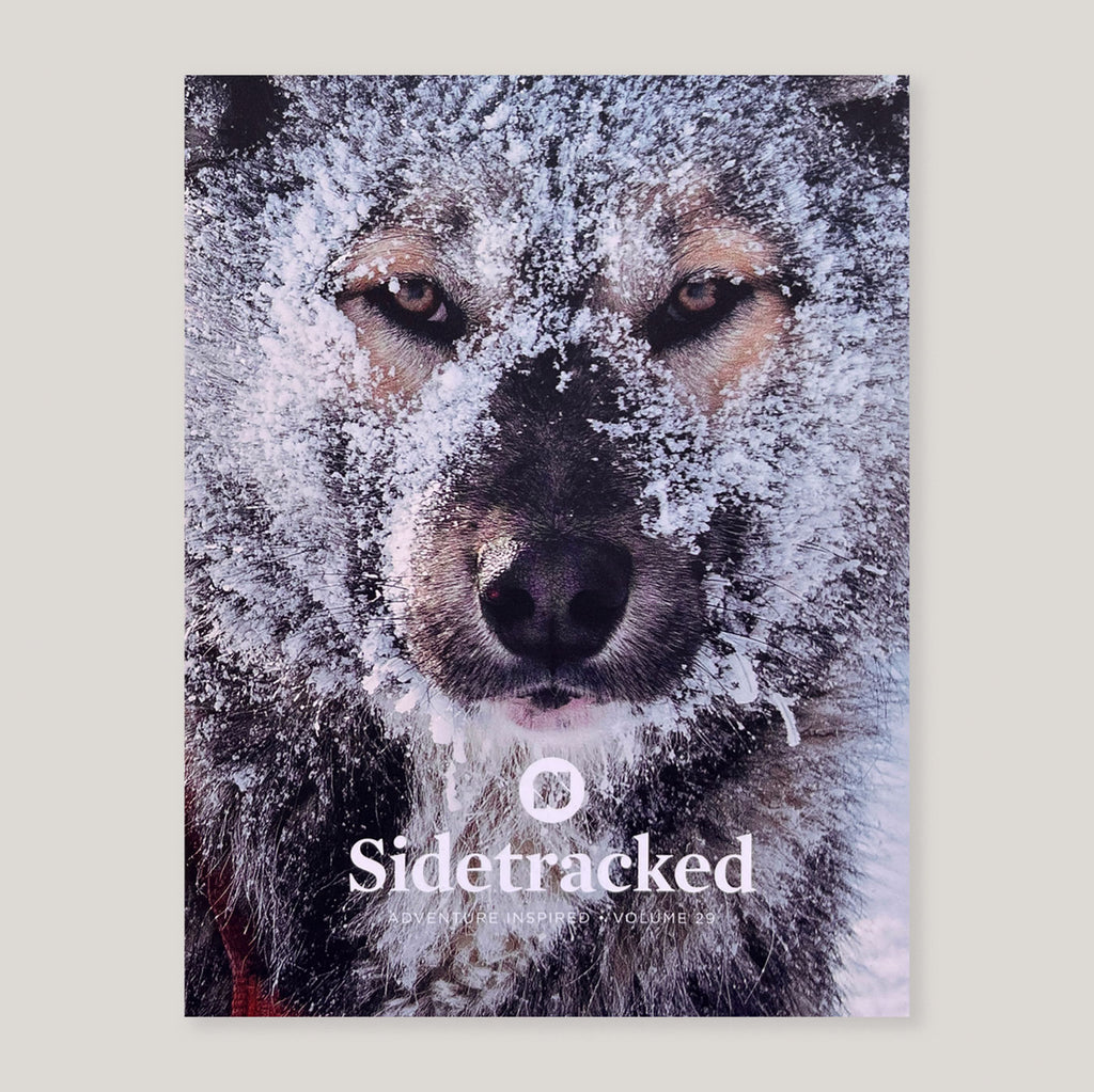 Sidetracked Magazine #29