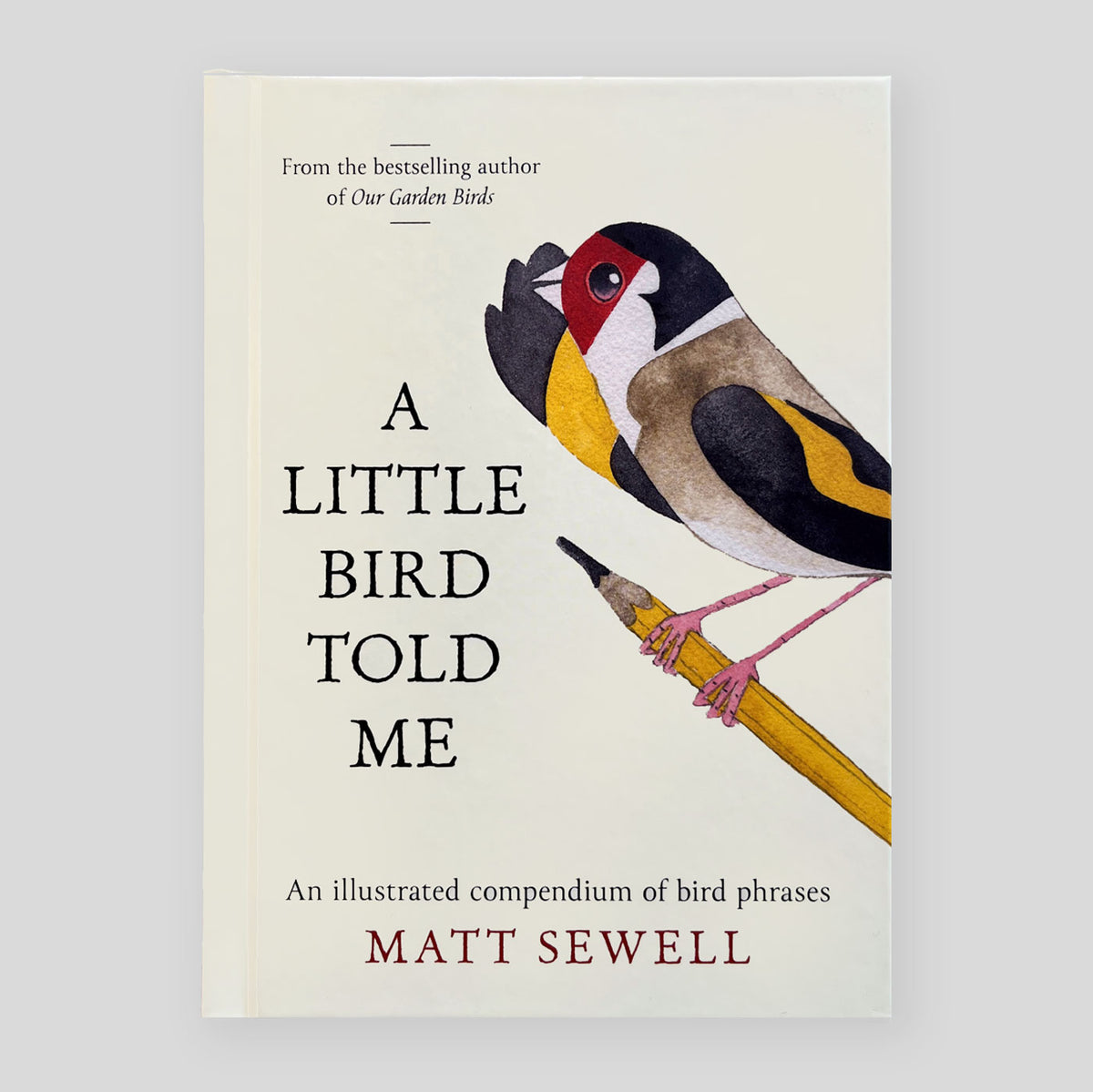 A Little Bird Told Me: An Illustrated Compendium of Bird Phrases | Mat ...