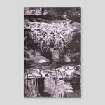 Becoming the Forest #5