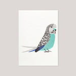 Bobbie Print  | 'Blue Budgie' Mini Card