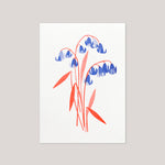 Bobbie Print  | 'Bluebell' Mini Card