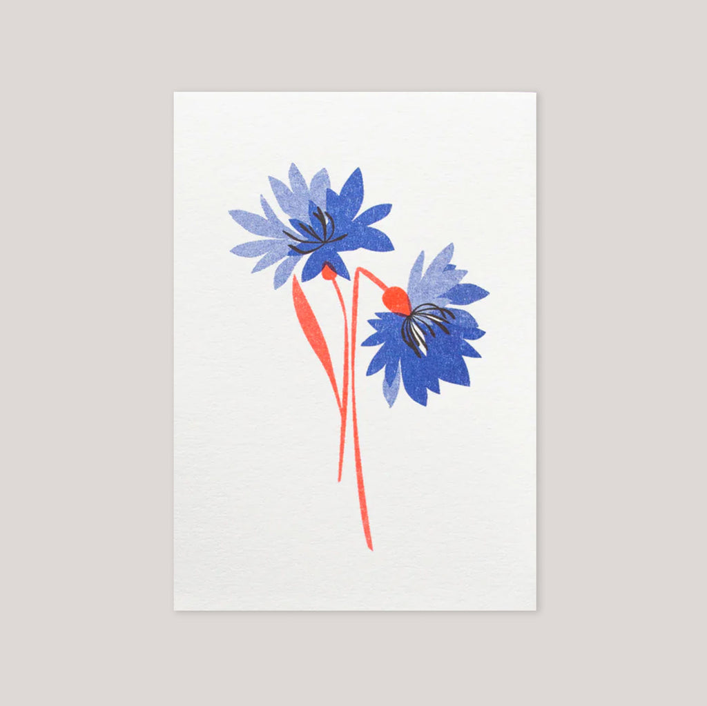 Bobbie Print  | 'Cornflower' Mini Card