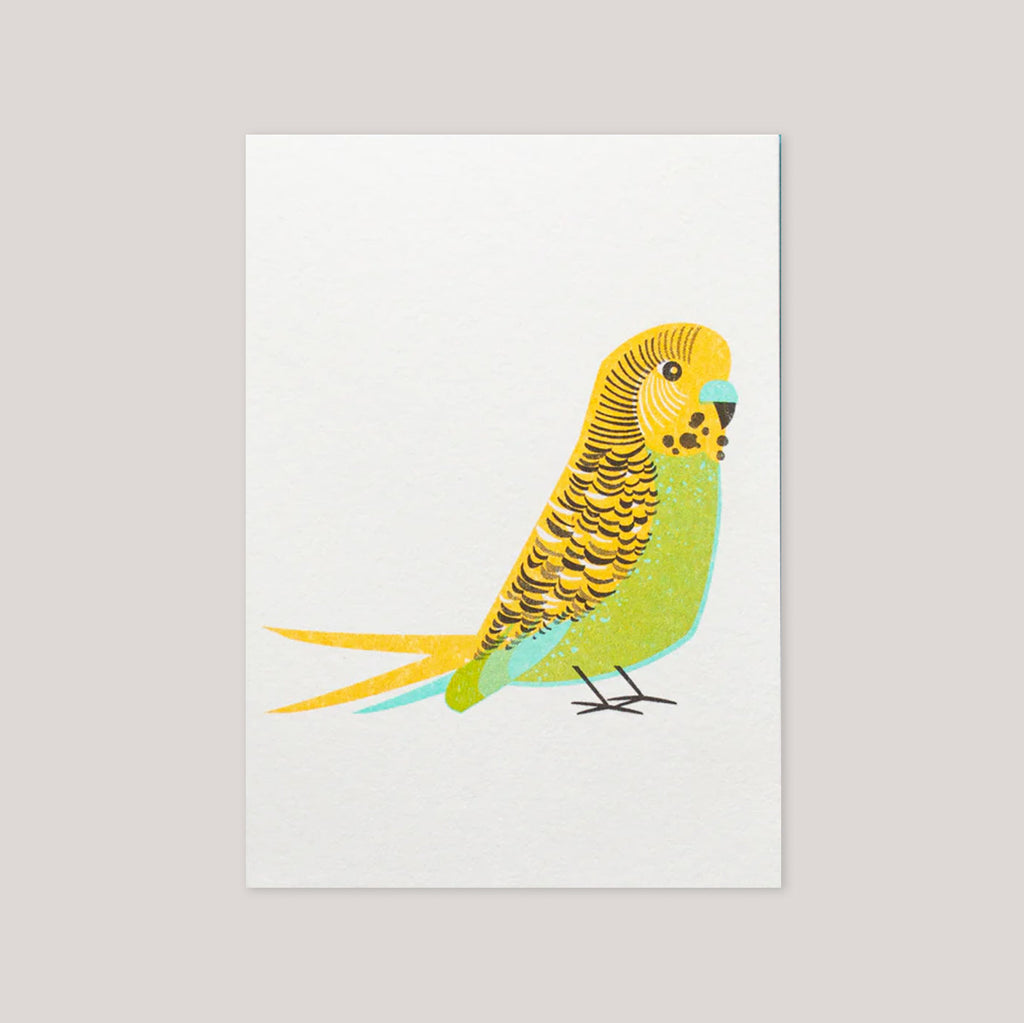 Bobbie Print  | 'Green Budgie' Mini Card