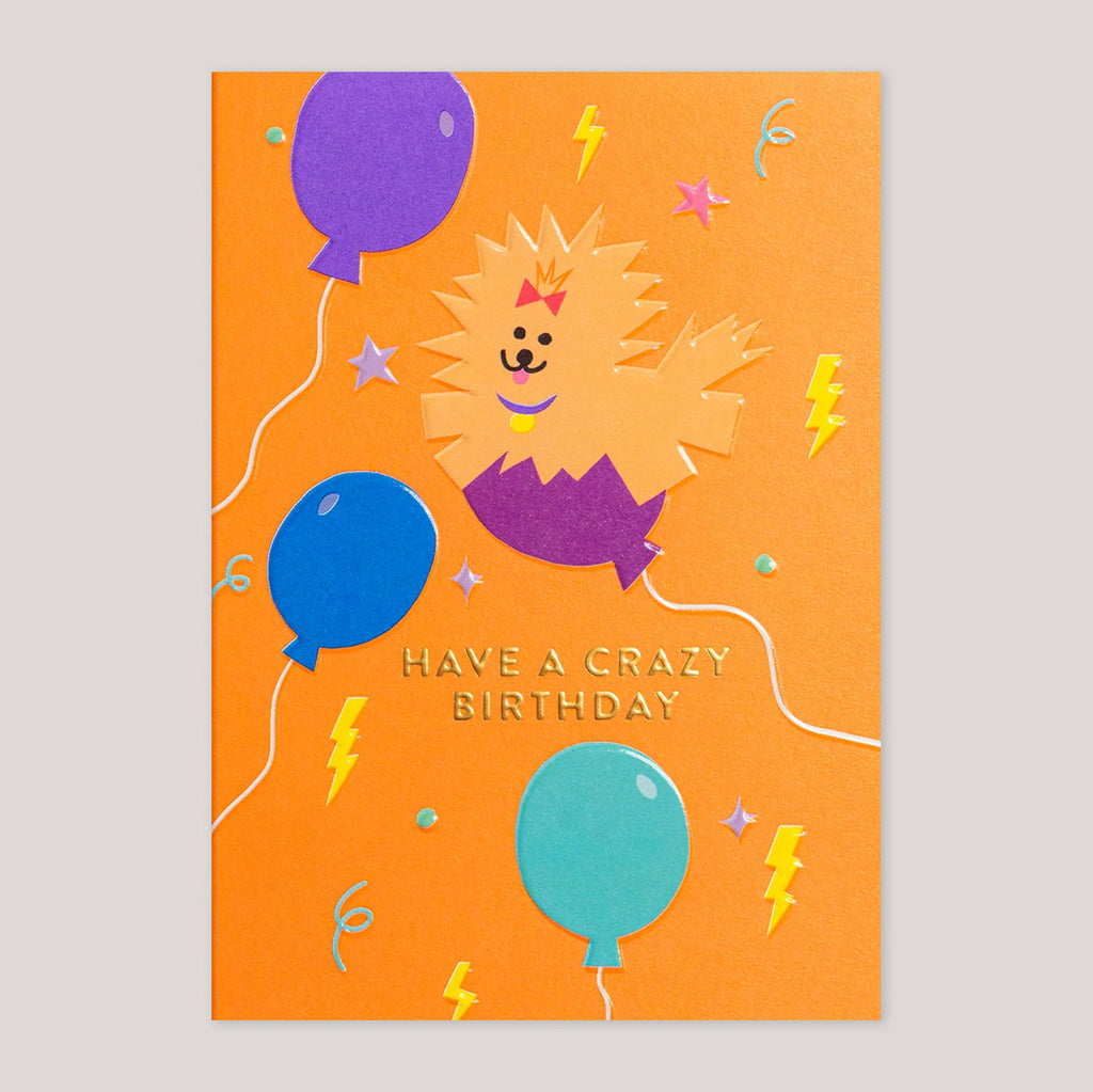 Jessica Das For Lagom | Have A Crazy Birthday Card