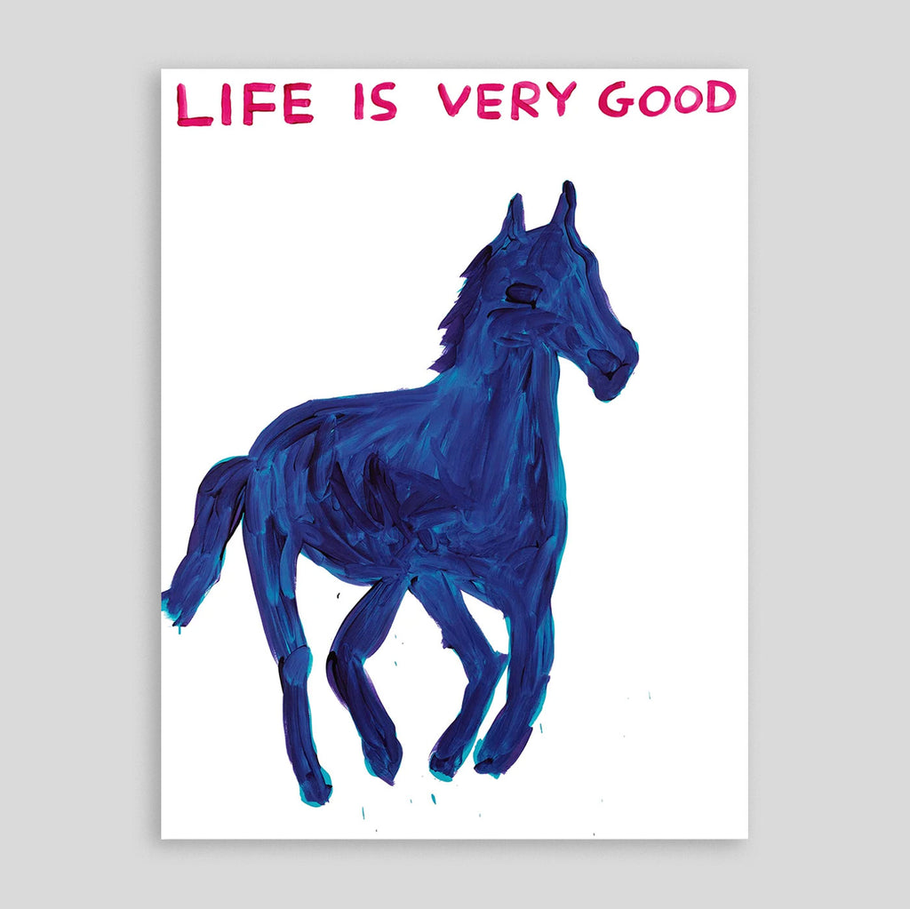 Life Is Very Good | David Shrigley Poster