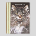 New Photography of the Cat | Lucy Davies