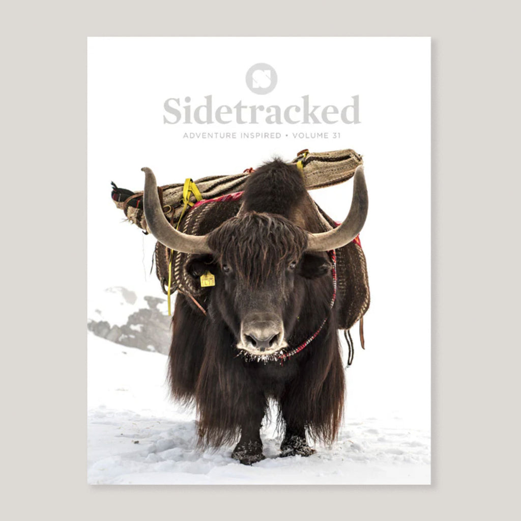 Sidetracked Magazine #31