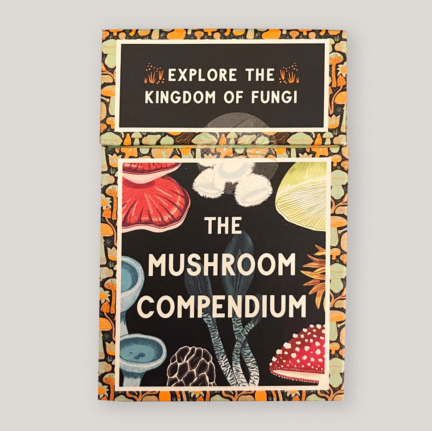 The Mushroom Compendium : Explore the Kingdom of Fungi | Illustrated by Alice Pattullo