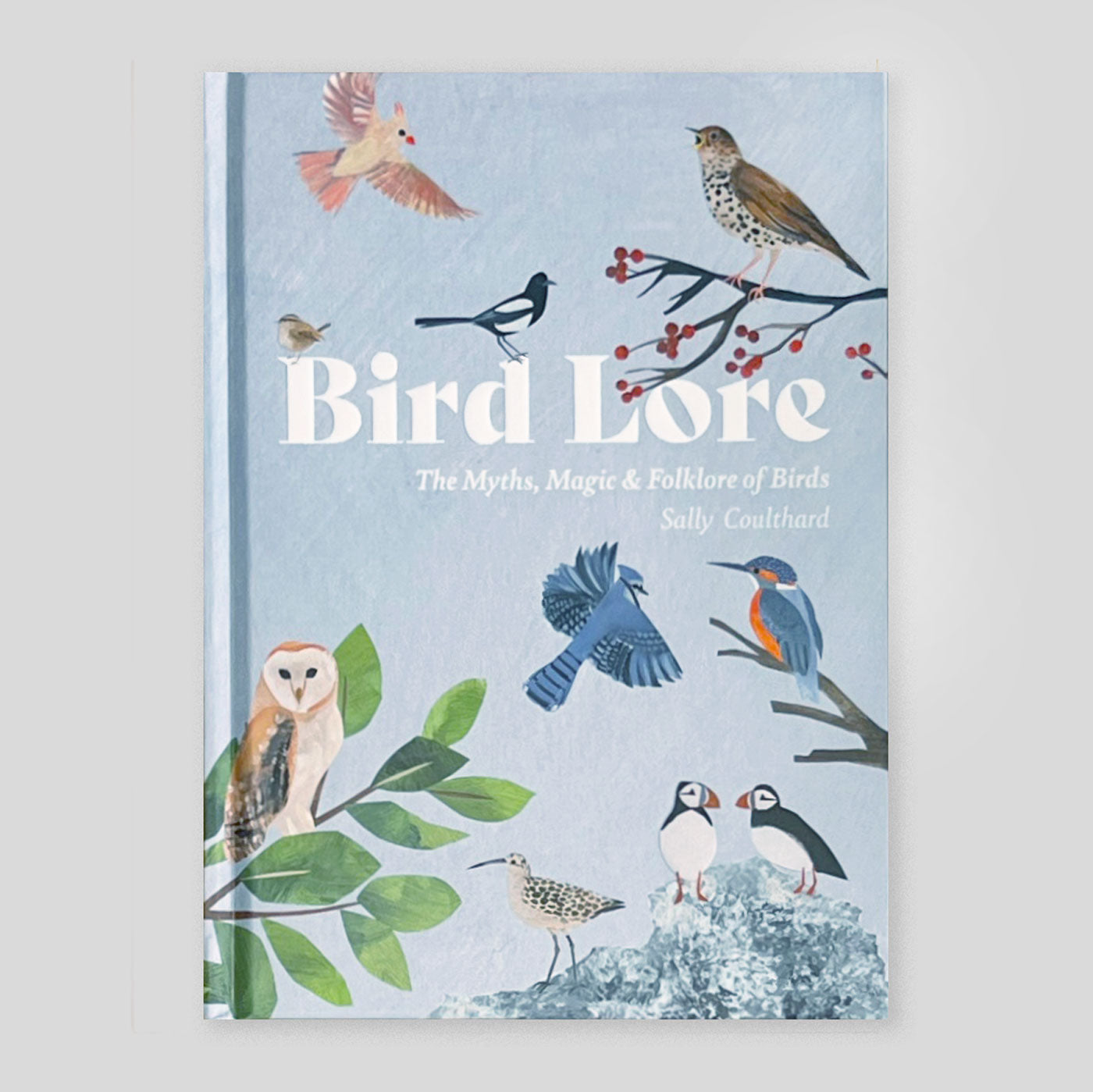 Bird Lore: The Myths, Folklore and Meaning of Birds | Sally Coulthard & Clover Robin (illustrator)