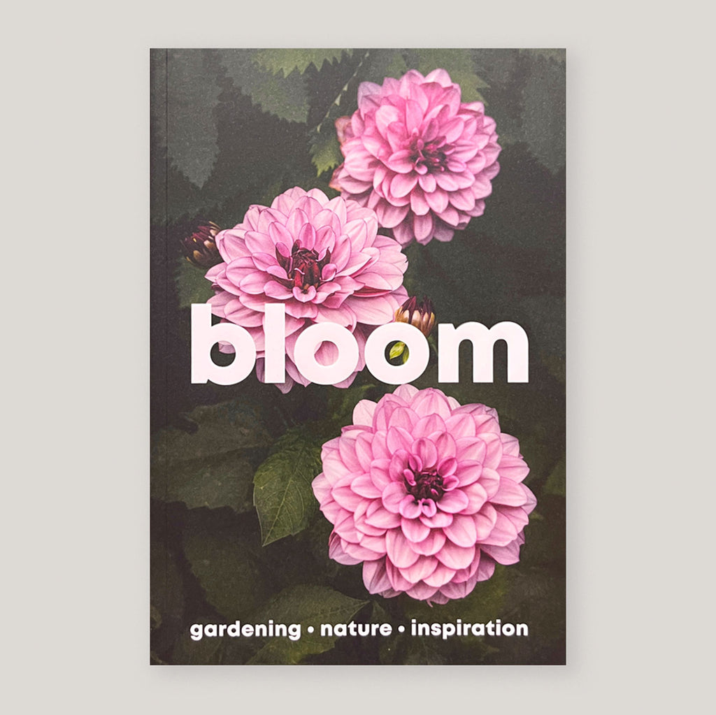 Bloom Magazine #16 | Spring/Summer 2024 | Colours May Vary 