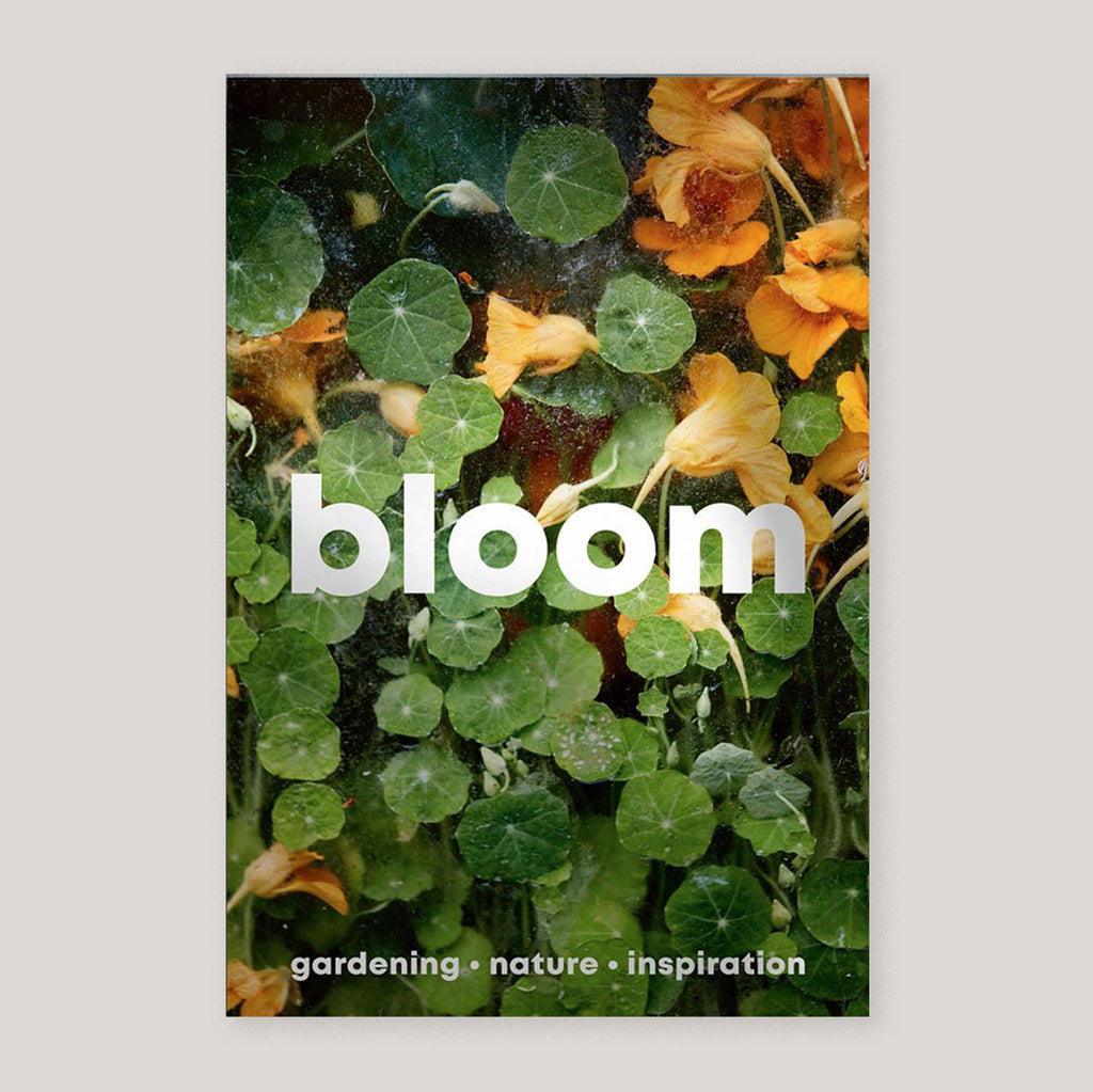 Bloom Magazine #15 | Autumn /Winter 2023