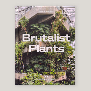 Brutalist Plants | Olivia Broome | Colours May Vary 