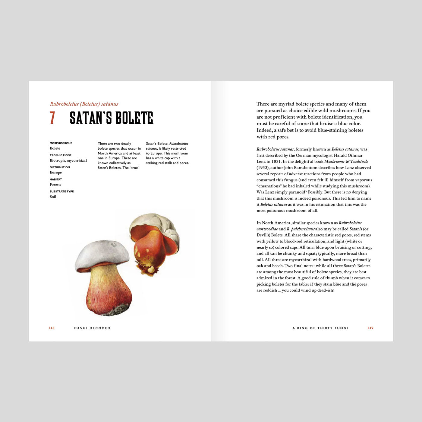 Fungi Decoded: Encounters with Thirty Fungi | Britt A. Bunyard
