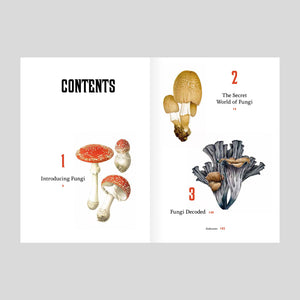 Fungi Decoded: Encounters with Thirty Fungi | Britt A. Bunyard