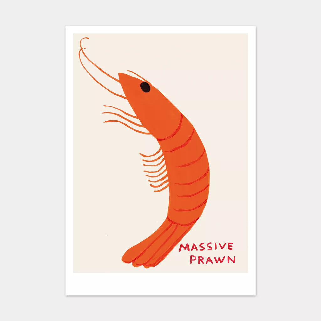 David Shrigley | Massive Prawn Postcard