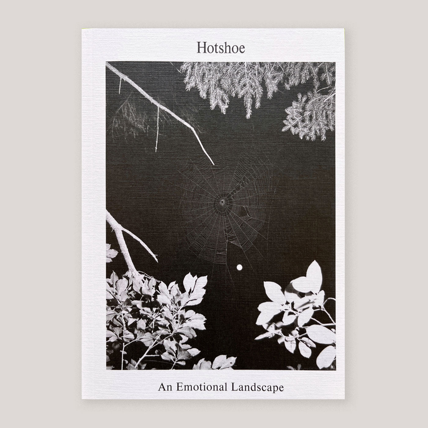 Hotshoe Magazine #209 | An Emotional Landscape