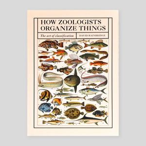 How Zoologists Organize Things: The Art of Classification | David Bainbridge