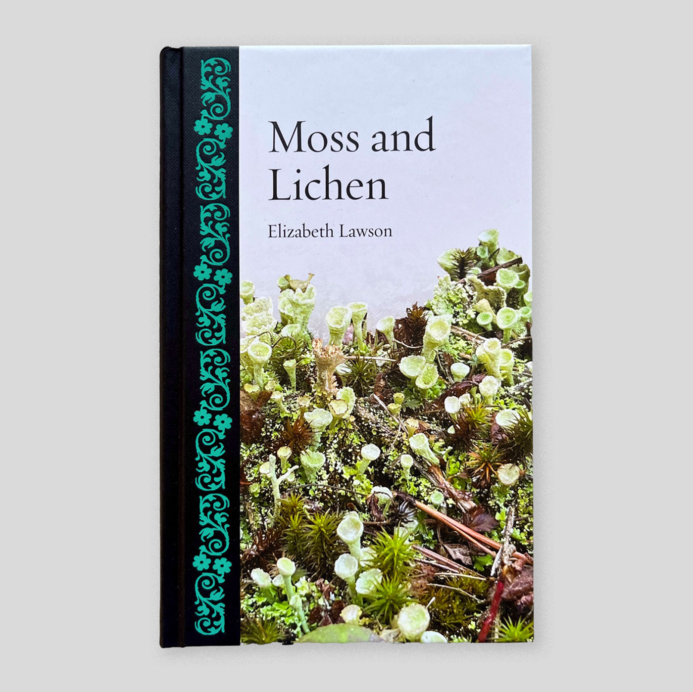 Moss and Lichen | Elizabeth Lawson