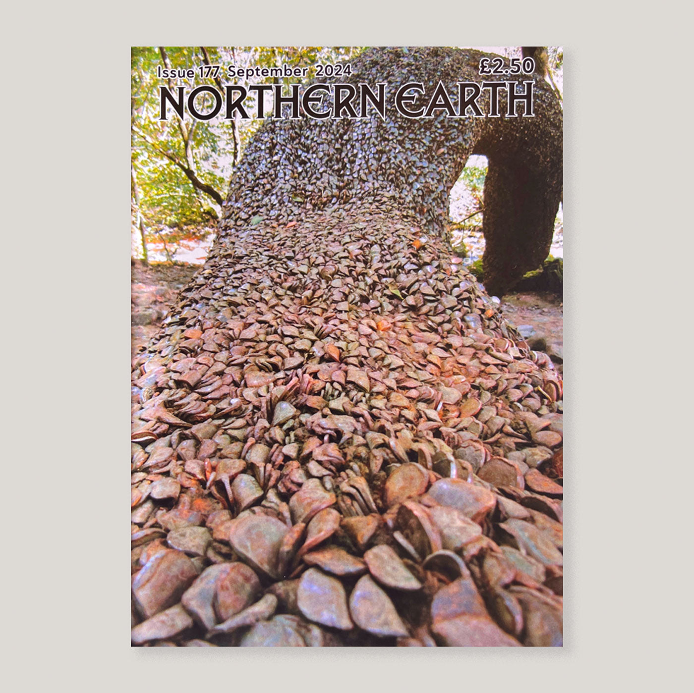 Northern Earth #177