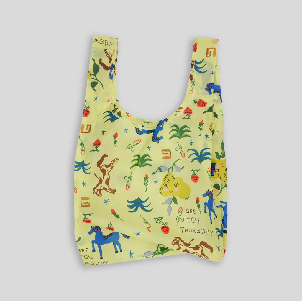 Standard Baggu | Painted Prairie