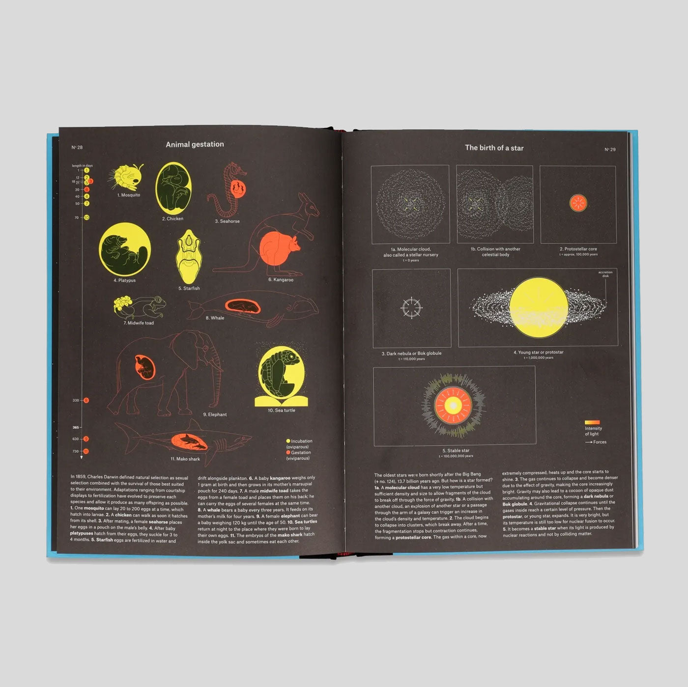 Phenomena : An Infographic Guide to Almost Everything | Camille Juzeau & The Shelf Company