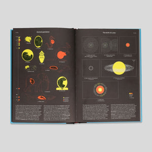 Phenomena : An Infographic Guide to Almost Everything | Camille Juzeau & The Shelf Company