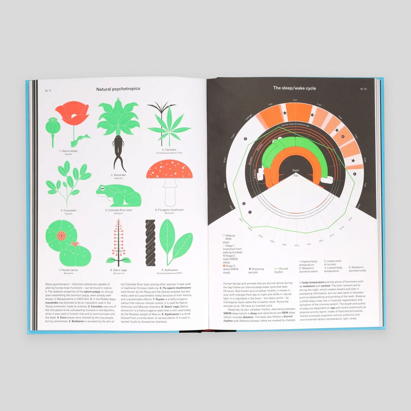 Phenomena : An Infographic Guide to Almost Everything | Camille Juzeau & The Shelf Company