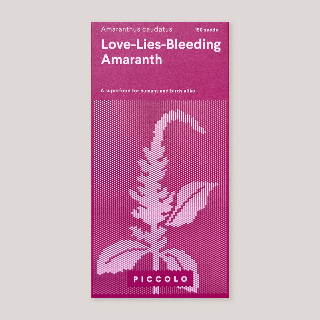 Piccolo Seeds | Amaranth 'Love Lies Bleeding' | Colours May Vary 