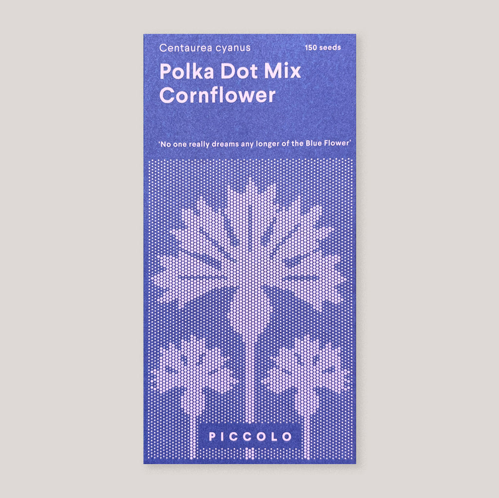 Piccolo Seeds | Cornflower 'Polka Dot Mix' | Colours May Vary 