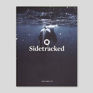 Sidetracked Magazine #33
