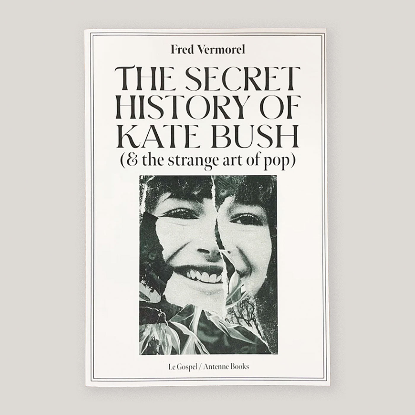 The Secret History Of Kate Bush (And The Strange Art Of Pop) | Fred Vermorel