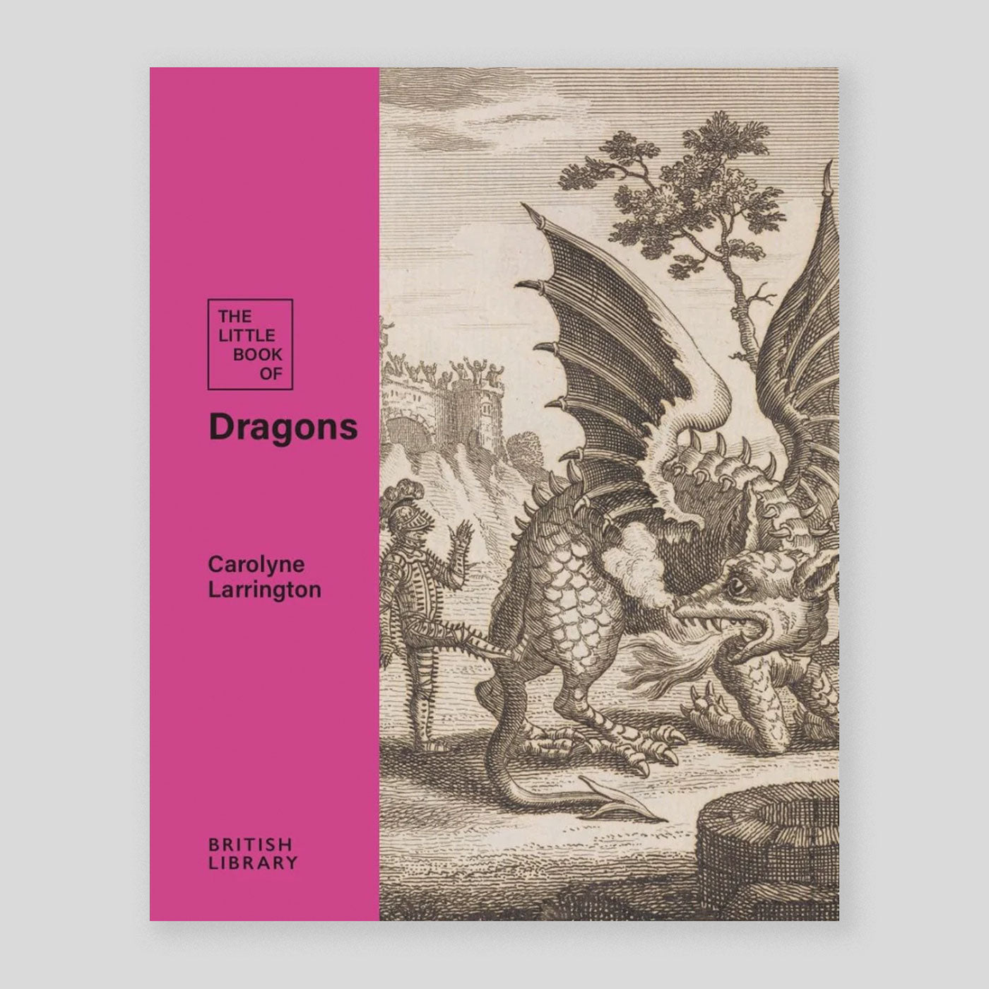 The Little Book of Dragons | Carolyne Larrington