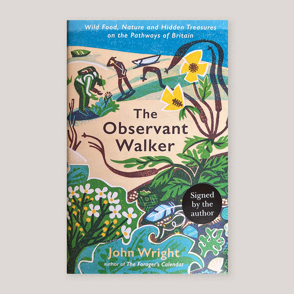 The Observant Walker | John Wright | Colours May Vary 