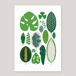Leaves A3 Print | Sarah Abbott