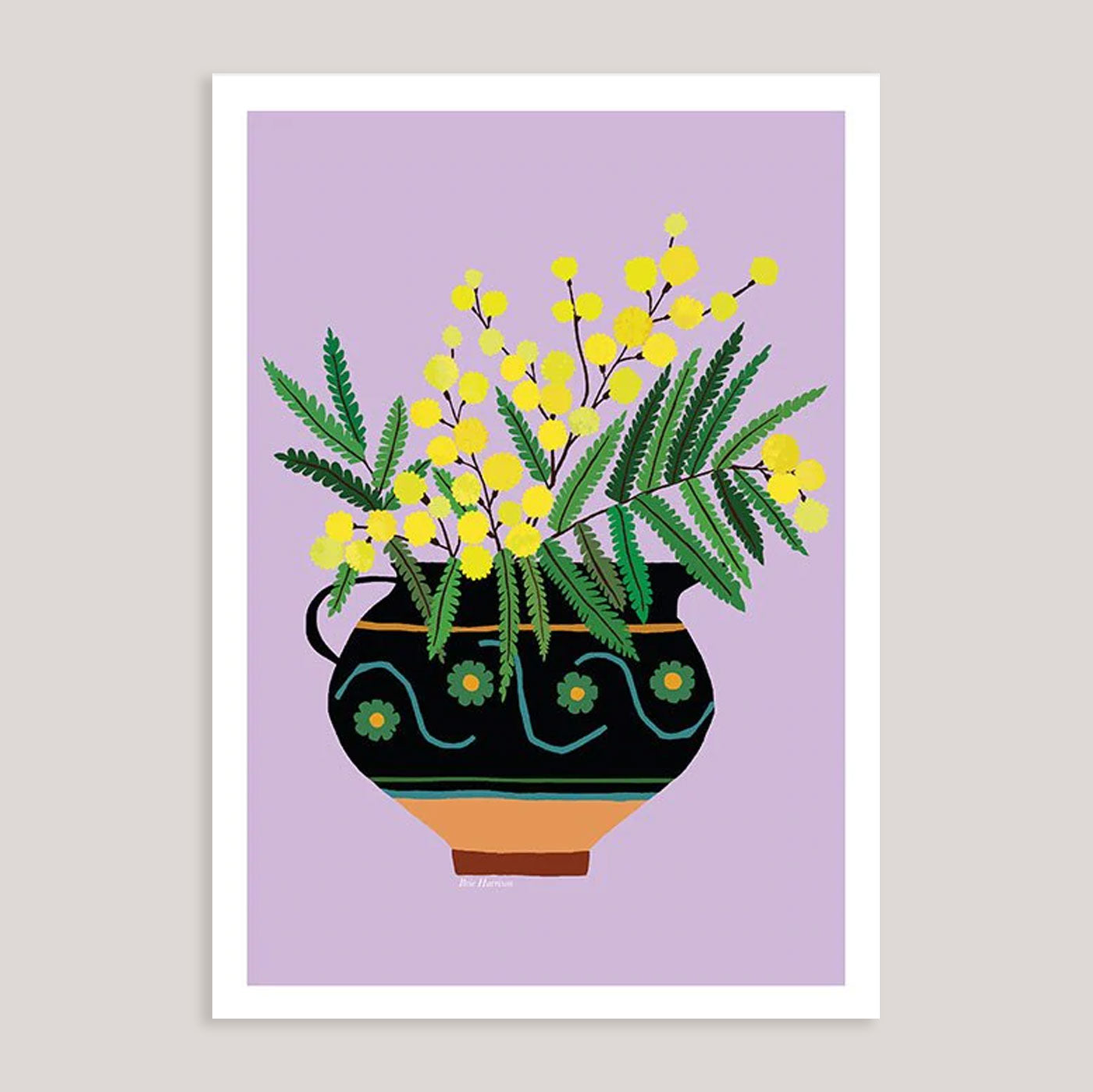 Brie Harrison | Mimosa Jug A4 Print