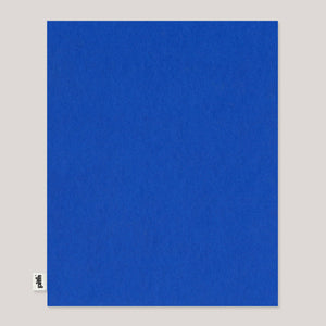 Pith | Pomelo Notebook - Blue