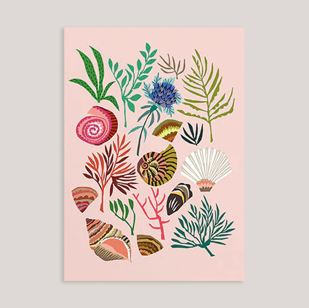 Brie Harrison | Shells & Seaweed