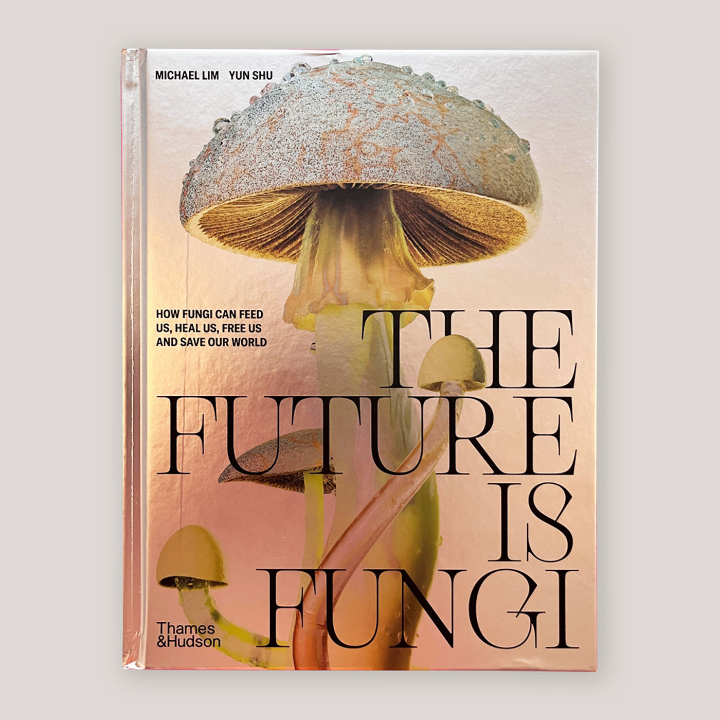 The Future is Fungi: How Fungi Can Feed Us, Heal Us, Free Us and Save Our World | Michael Lim & Yun Shu | Colours May Vary 