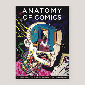 Anatomy of Comics: Famous Originals of Narrative Art | Damien MacDonald