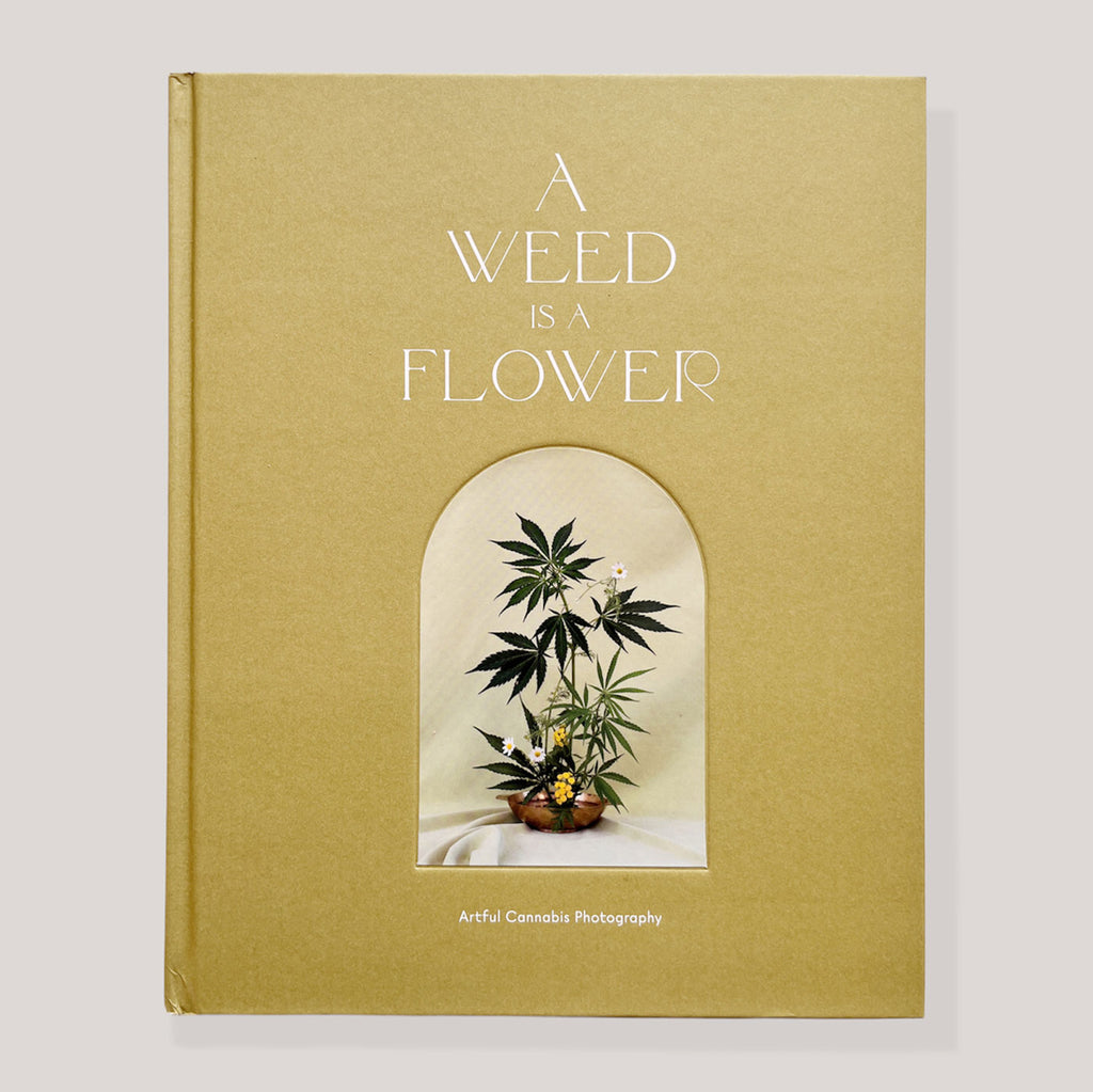 A Weed is a Flower | Broccoli Magazine