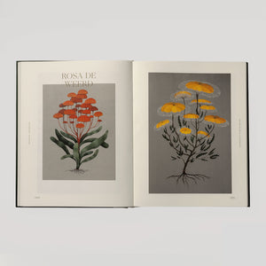 Botanical Inspiration: Nature in Art and Illustration