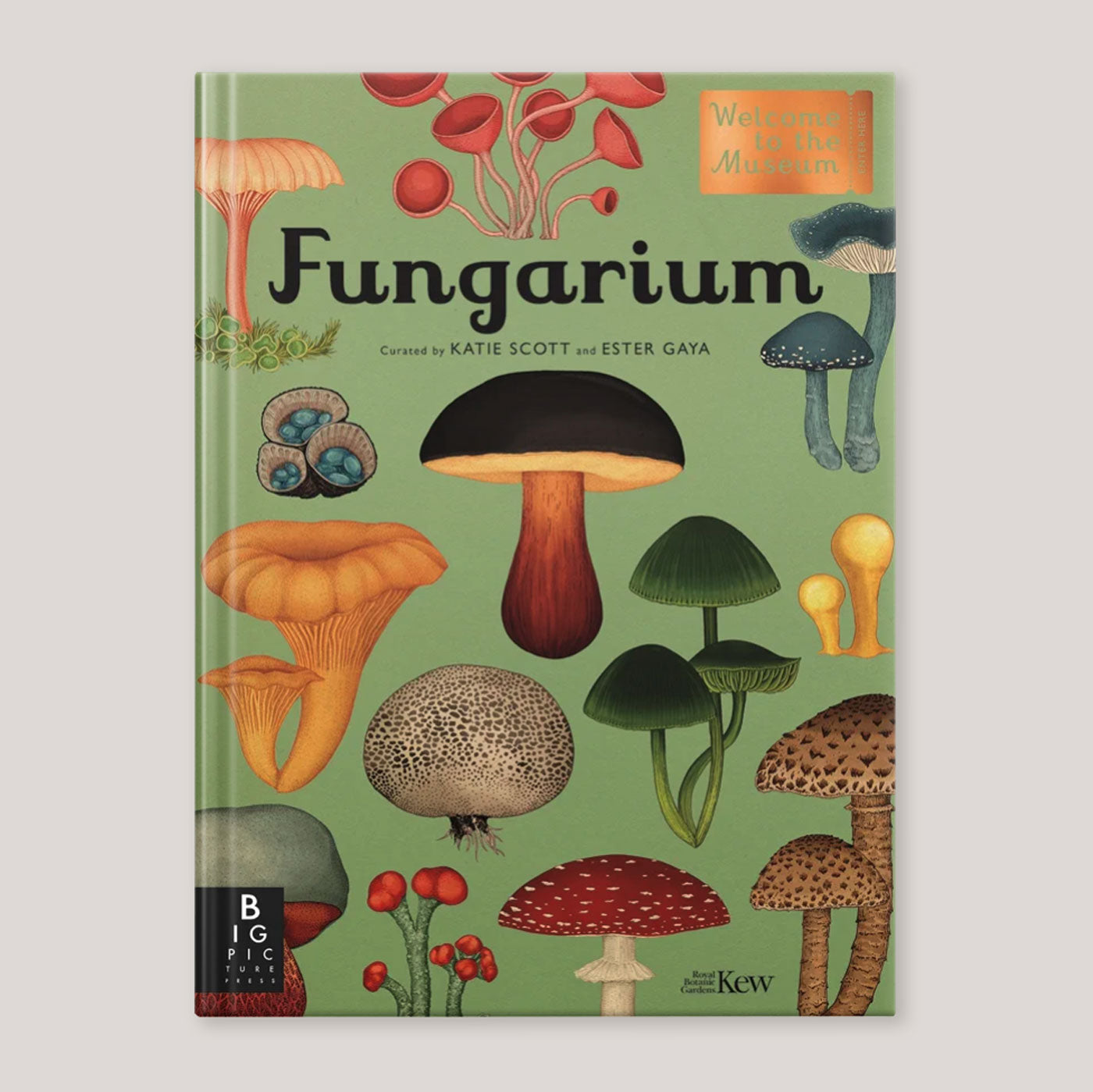 Fungarium | Katie Scott & Ester Gaya | Colours May Vary 