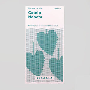 Piccolo Seeds - Catnip 'Nepeta' - Colours May Vary 