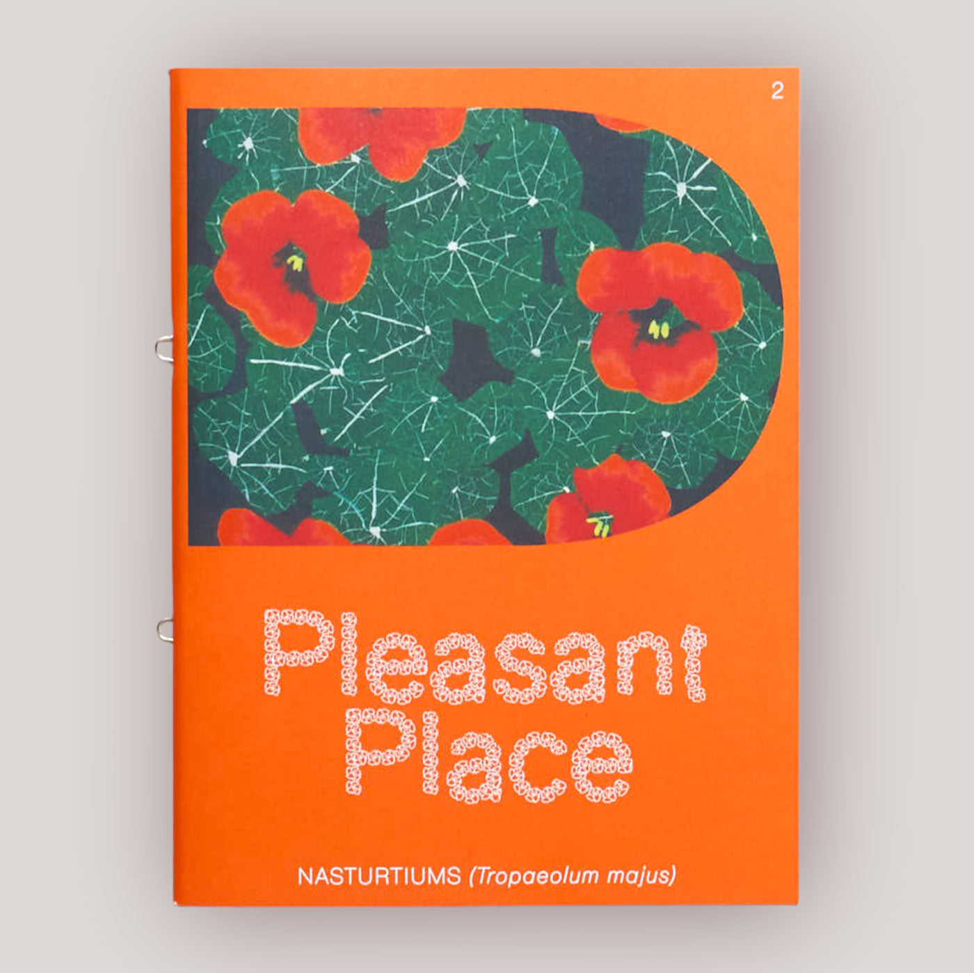 Pleasant Place #2 | Nasturtiums