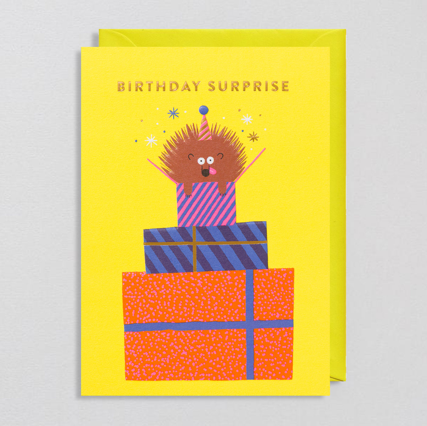 Rob Hodgson for Lagom  - Birthday Surprise Card - Colours May Vary 