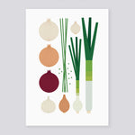Alliums A3 Print | Sarah Abbott | Colours May Vary 