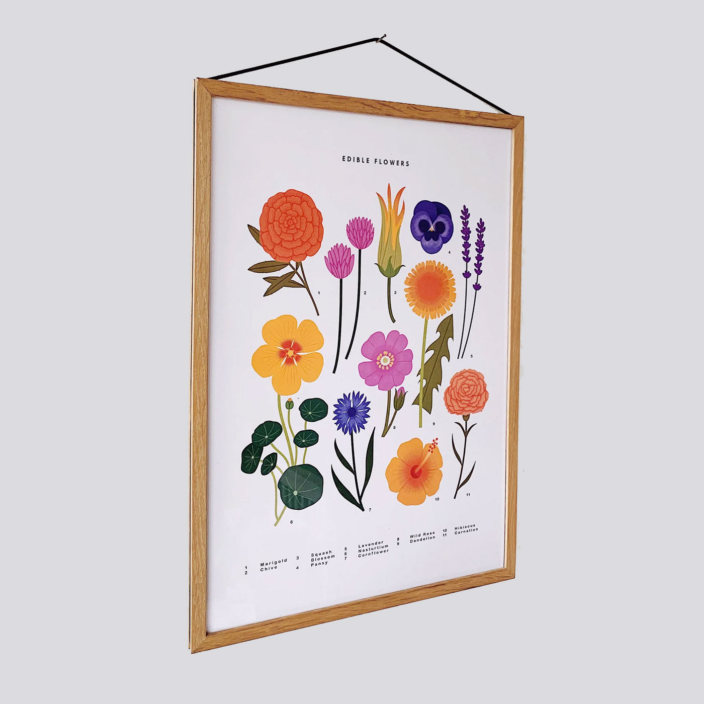 Edible Flowers A3 Print | Sarah Abbott