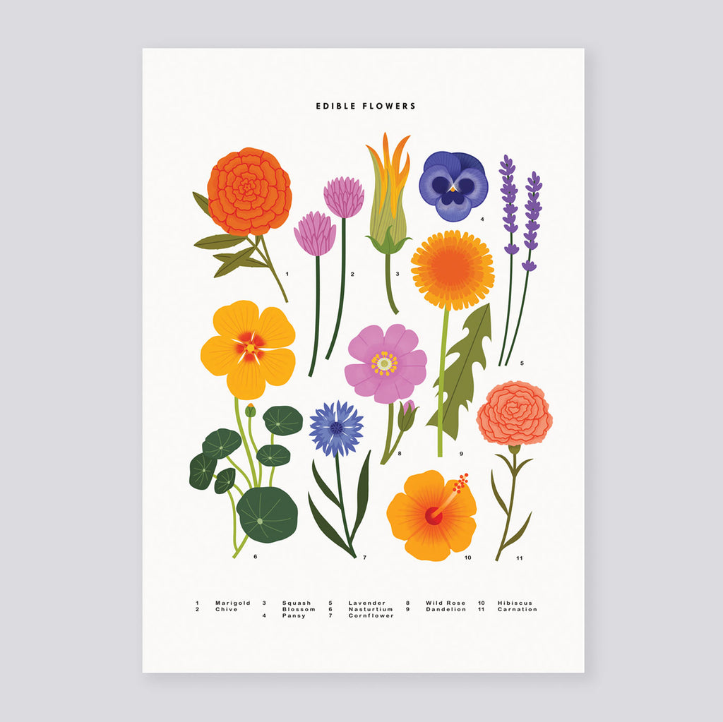 Edible Flowers A3 Print | Sarah Abbott | Colours May Vary 