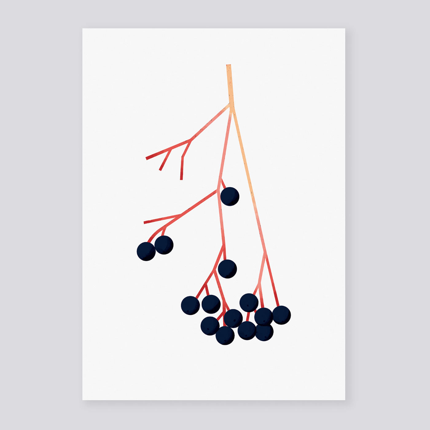 Elderberry A3 Print | Sarah Abbott | Colours May Vary 
