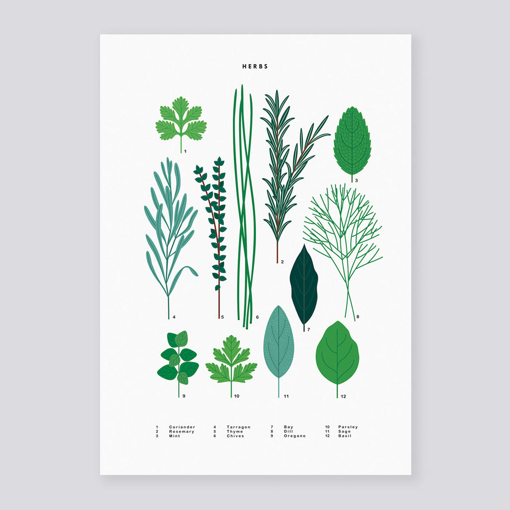 Herbs A3 Print | Sarah Abbott | Colours May Vary 